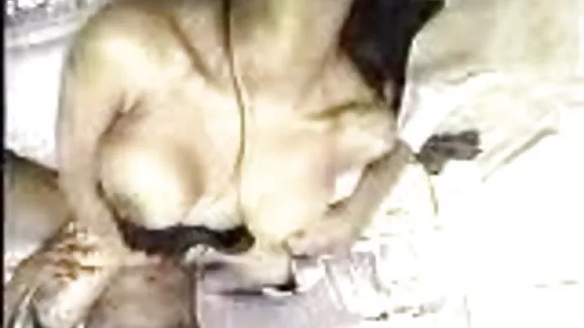 Najlepsze porno bez rejestracji Niewygodne sex filmy ertyczne darmowe