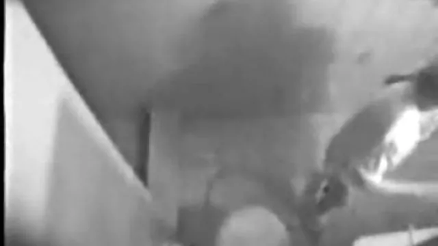 Najlepsze porno bez rejestracji Napalone złoty lalka Barbie filmy za darmo erotyka